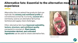 Reimagining Meat: Pathways for Scientists Focused on Fats and Oils in the Alternative Protein Field