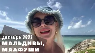 БЮДЖЕТНЫЕ Мальдивы или ГОА? остров Маафуши декабрь 2022.