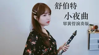 《Clarinet》Schubert D.957 Serenade 舒伯特-小夜曲單簧管/黑管/豎笛演奏版