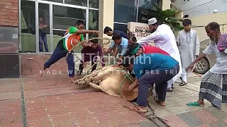 Eid Ul Azha 2019