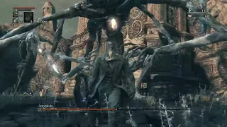 Amygdala BL4 no roll (flawless)