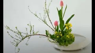 插花藝術-- 很多很多配方，學會這一些一生用不完 #chahua #Flower Arrangement- ikebana