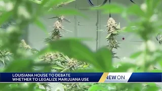 Louisiana House committee approves bill to legalize recreational marijuana