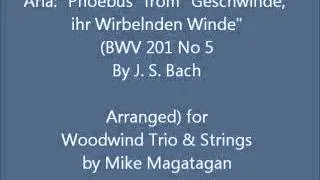 Aria: "Phoebus" from "Geschwinde, ihr Wirbelnden Winde" (BWV 201 No 5) for Woodwind Trio & Strings