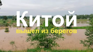 р.Китой вышла из берегов! Наводнение, пойма реки Китой, г. Ангарск, 07.07.2023