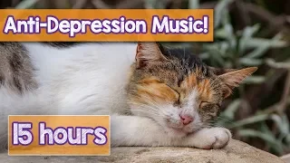 NEW Soothing Music for Depressed Cats and Kittens! Music to Calm Cat Separation Anxiety & Depression