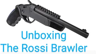 Unboxing The Rossi Brawler Single-Shot Pistol