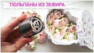 ТЮЛЬПАНЫ ИЗ ЗЕФИРА 😍💐 Одной НАСАДКОЙ | Наталья Деревянко