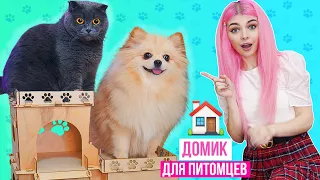 СДЕЛАЛИ СЮРПРИЗ КОШКЕ И СОБАКЕ | ГИГАНТСКИЙ ДОМ