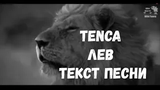 TENCA - Лев (СубтитрыТекст песни)