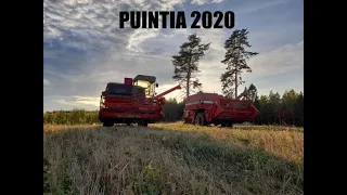 Puintia 2020