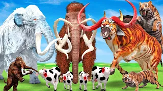 Woolly Mammoth vs Giant Tiger Bull vs Mastodon Bull Fight Cartoon Cow Elephant Save by Giant Mammoth