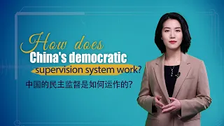 How does China's democratic supervision system work?