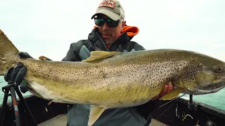 Using Livescope to Hunt Monster Brown Trout (HUGE Fish Caught!)