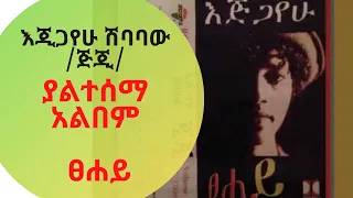 Gigi Egigayehu Shibabaw Tsehay album እጂጋየሁ ሽባባዉ ጂጂ  ጸሃይ new amharic album #ethiopia #music