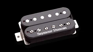 Jackson stock pickup vs. Seymour Duncan Distortion (high gain comparison)