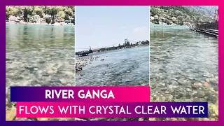 River Ganga Flows With Crystal Clear Water Near Lakshman Jhula At Rishikesh  Amid The Lockdown