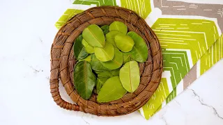 How to Use Kaffir Lime Leaves