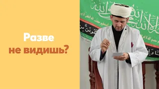 Разве не видишь?