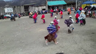 La Venada Ecuador Sumag Llacta Rayoloma