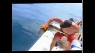 Ужас и кошмар. SHARK ATTACKS