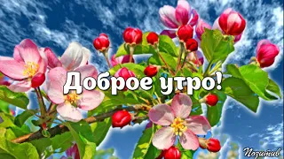 с Добрым весенним утром! Я наколдую вам Весну! с началом Весны!