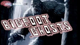 BIGFOOT GHOSTS - IS SASQUATCH A GHOST? (Mindshock Podcast)