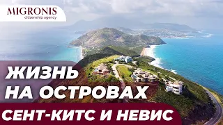 Сент-Китс и Невис | Жизнь на Карибах | Личный опыт