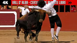 CONCURSO DE RECORTE LIBRE CON LA VUELTA DE DAVID CORTÉS EN VALL D' ALBA