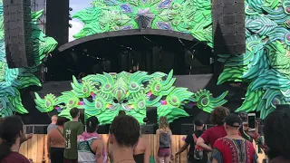 Morten Granau at Psy-Fi Festival 2019 (Seed of Science)