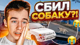 🎅 Я СБИЛ СОБАКУ?!?! ПОДПИСЧИКИ МЕНЯ ПРЕСЛЕДУЮТ ! ПРОКАТИЛСЯ С ДЕВУШКОЙ НА КВАДРОЦИКЛЕ !