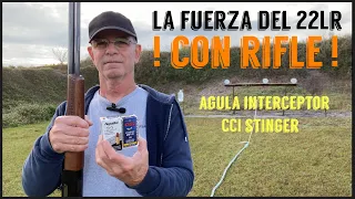 La Fuerza del 22LR con RIFLE Stinger/ Interceptor