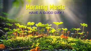 BEAUTIFUL MORNING MUSIC - Positive Songs That Makes You Feel Alive - Calm Morning Meditation Music