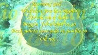 Morning Girl by The Lettermen