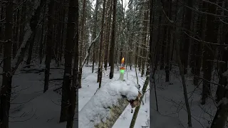 Лазерный прицел. Стрельба. Холод