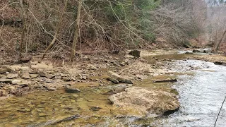 Finding Gold and Fossils in West Virginia!