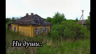 ПОКИНУТАЯ ДЕРЕВНЯ В ЛЕСУ. ВСЁ БРОШЕНО! НИКОГО.. ТОЛЬКО ТЫ И ПРИРОДА.