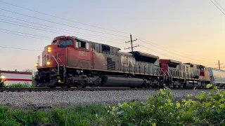 CN 8921 leads an early but MASSIVE CN M338 through Glendale Heights, IL on 5/17/2024.