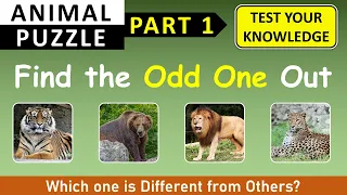 Find the ODD ONE OUT - GK Quiz on Animals: Part 1 | Choose the Odd one Out in this Animal Quiz