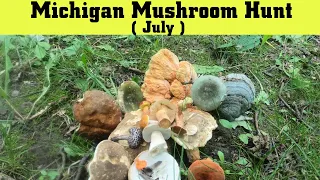 Michigan Mushroom Hunt - Mushrooms That Can Be Harvested In July