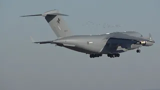 RAAF Boeing C17A Globemaster III A41-211 Arriving into Avalon Airport