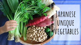 VEGETABLE IN JAPAN/ 18 unique vegetables you may not find outside of Japan!