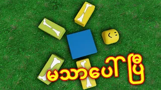 ဆိုင်ကယ်စီးရင်း မသာပေါ်သွားသော NVL