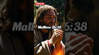 Jesus Prays in Gethsemane : Matthew 26:36-46