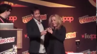 David Duchovny and Gillian Anderson : Best moments on October 2013 at NYC