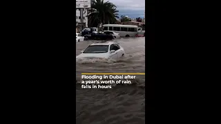 Flooding in Dubai after a year's worth of rain falls in hours| #AJshorts