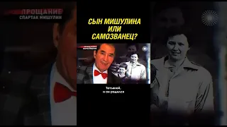 Откуда взялся внебрачный сын Мишулина