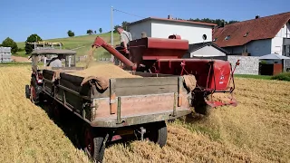 Massey Ferguson 31 MF Mähdrescher