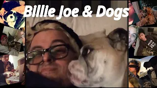 Green Day -Billie Joe and his funny dogs