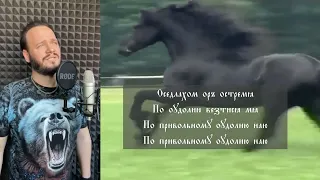 Роман Бобров - Древнеславянский кавер Конь   Любэ